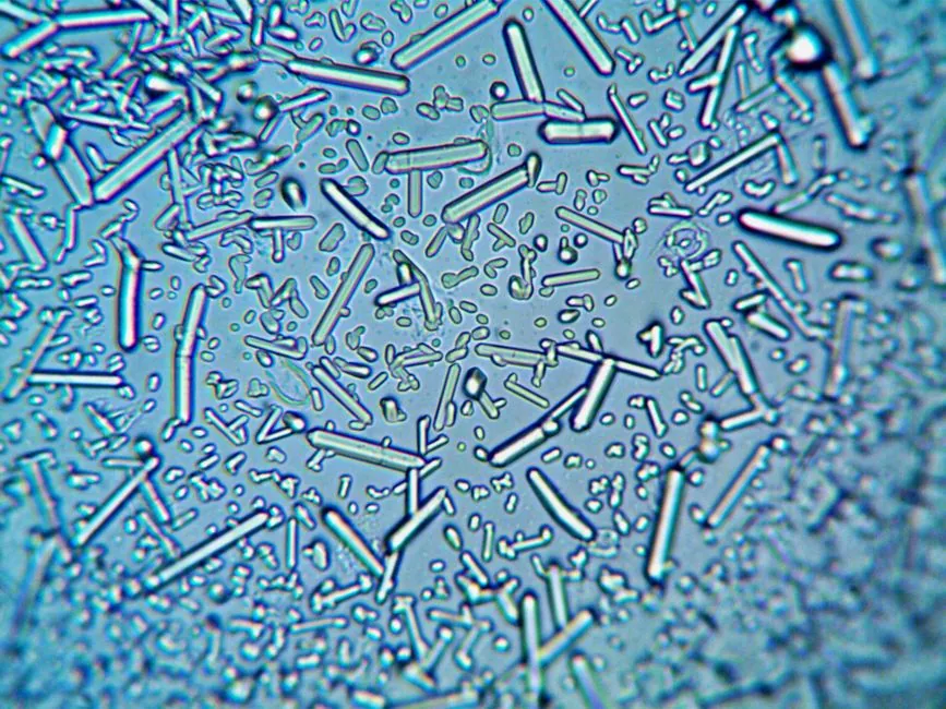 Detailed microscopic view of various crystalline structures in blue hues.