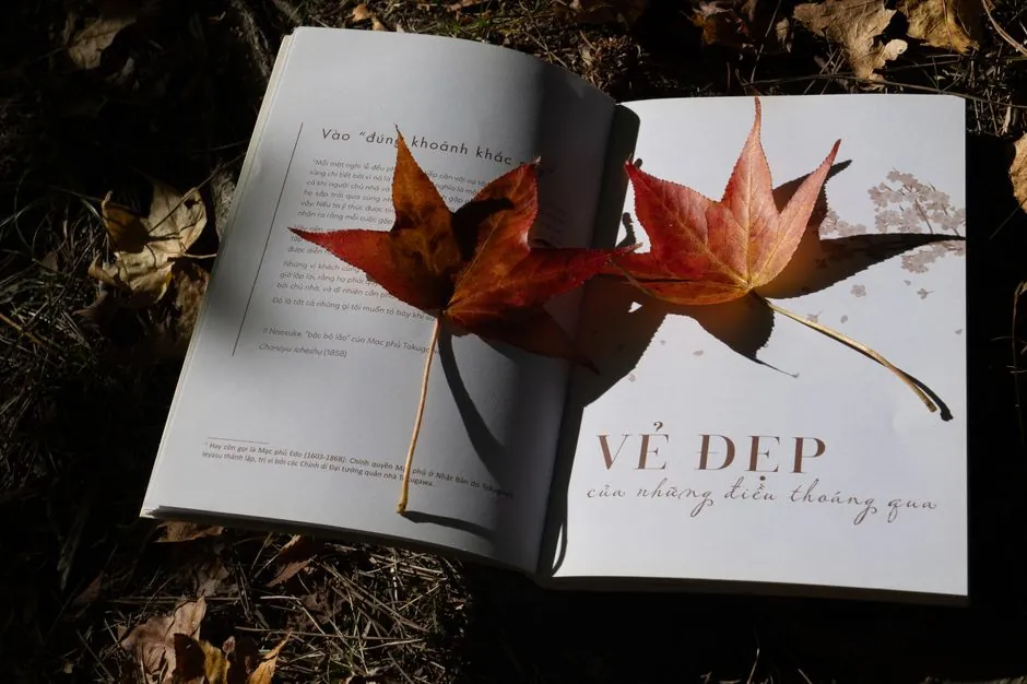 Open book outdoors with autumn leaves in sunlight conveying calm and beauty.