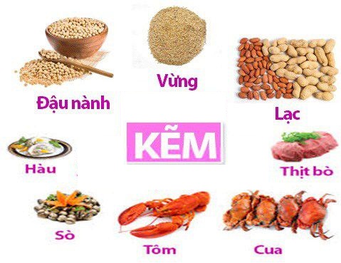 Bổ Sung Kẽm Cho Cơ Thể