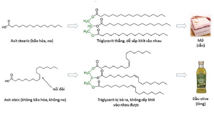 Công Thức Axit Béo