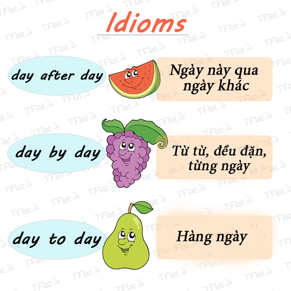 From Day To Day Là Gì