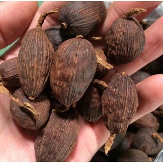 Giá Thảo Quả Khô