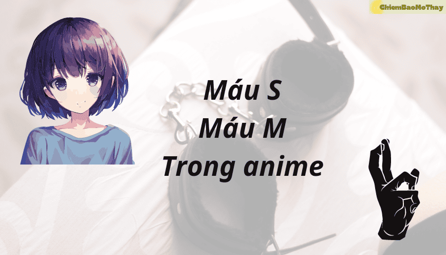 Máu M Và Máu S