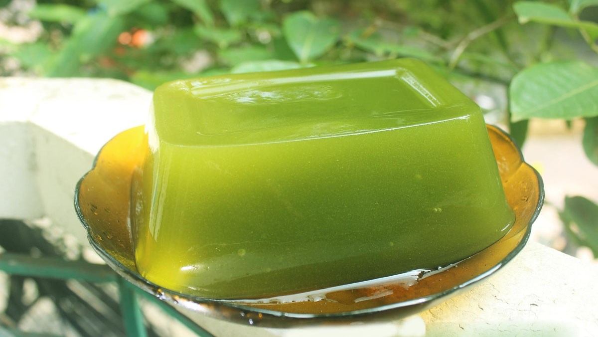 Thạch Găng Có Tác Dụng Gì
