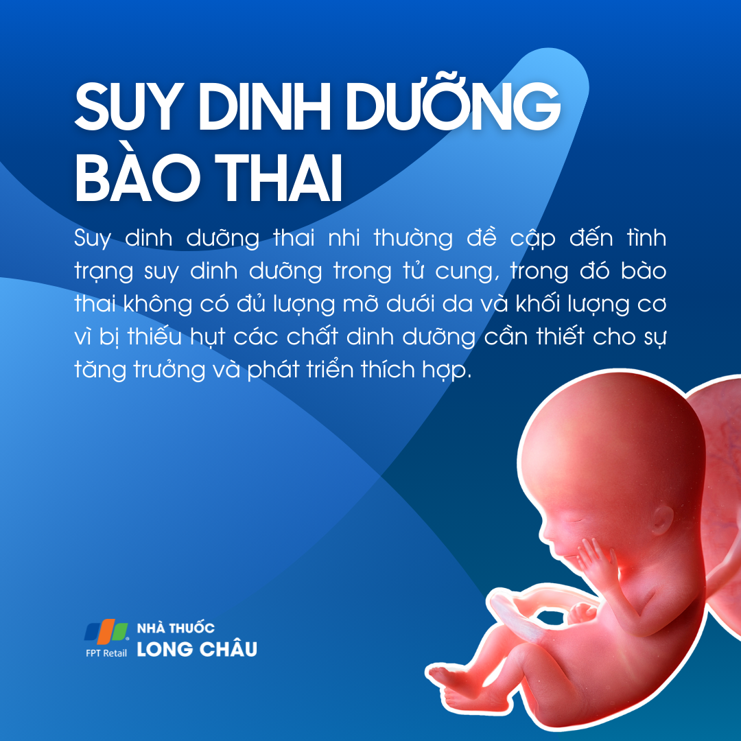 Thai Bị Suy Dinh Dưỡng Nên ăn Gì