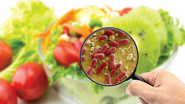 Thực Phẩm Bị ô Nhiễm Từ Nguồn Nào