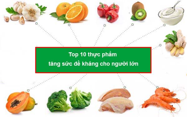 Thực Phẩm Tăng Sức đề Kháng Cho Người Lớn