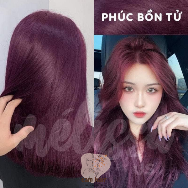 Tím Phúc Bồn Tử