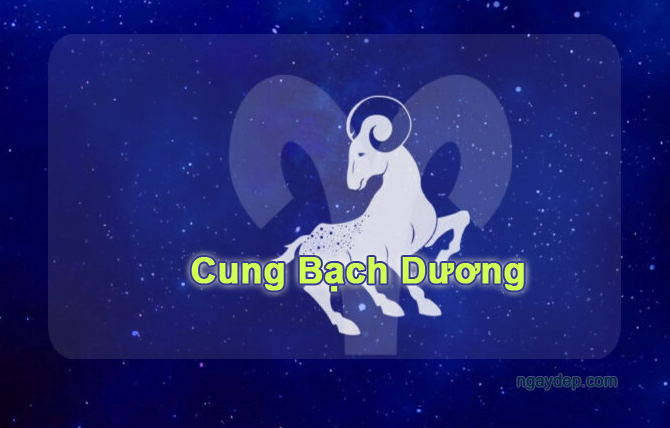 28 03 Là Cung Gì