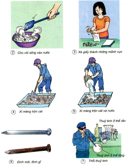 Biến đổi Hóa Học Có Sự Tham Gia Của