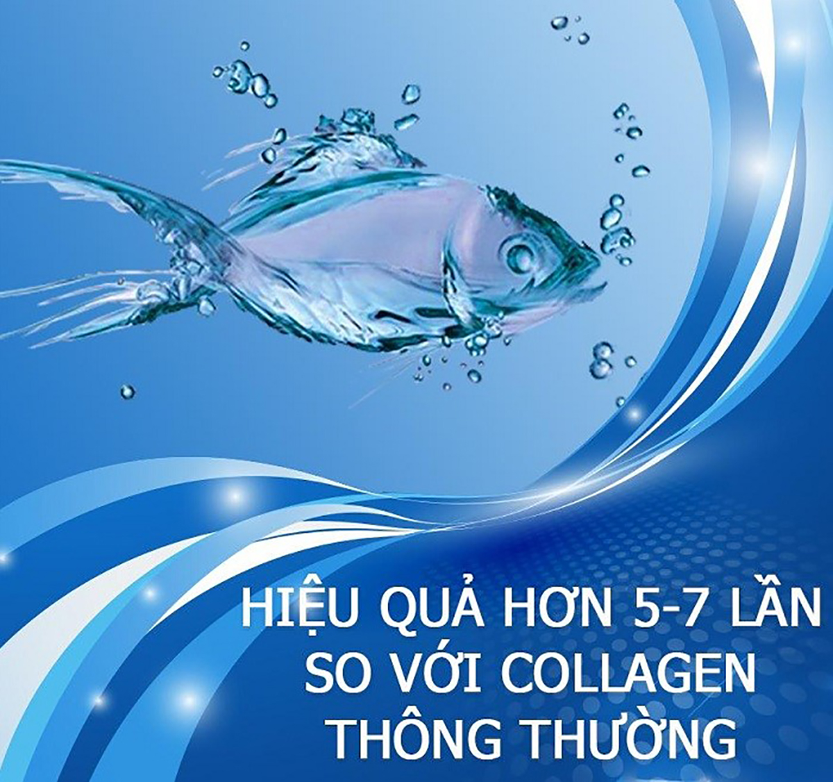 Collagen Từ Cá