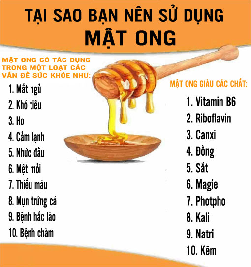 Công Dụng Mật Ong Rừng