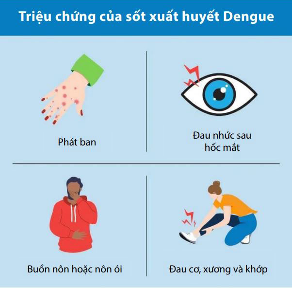 Sốt Dengue Là Gì