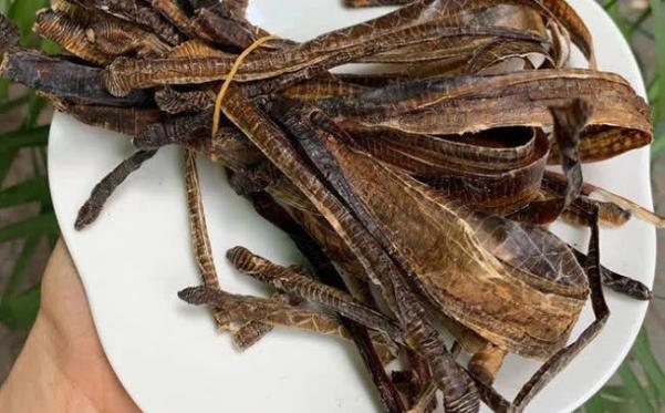 Tác Dụng Của Giun đất