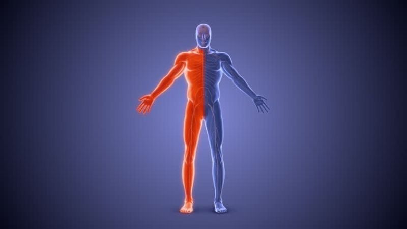 Tê Nửa Người Bên Trái
