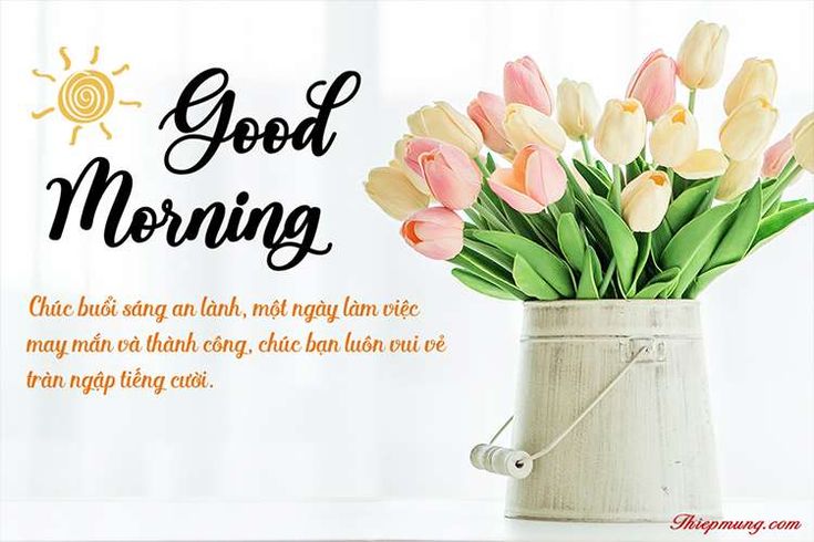 Thiệp Chúc Buổi Sáng