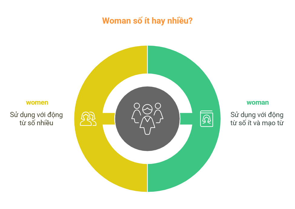 Woman Số ít Hay Nhiều