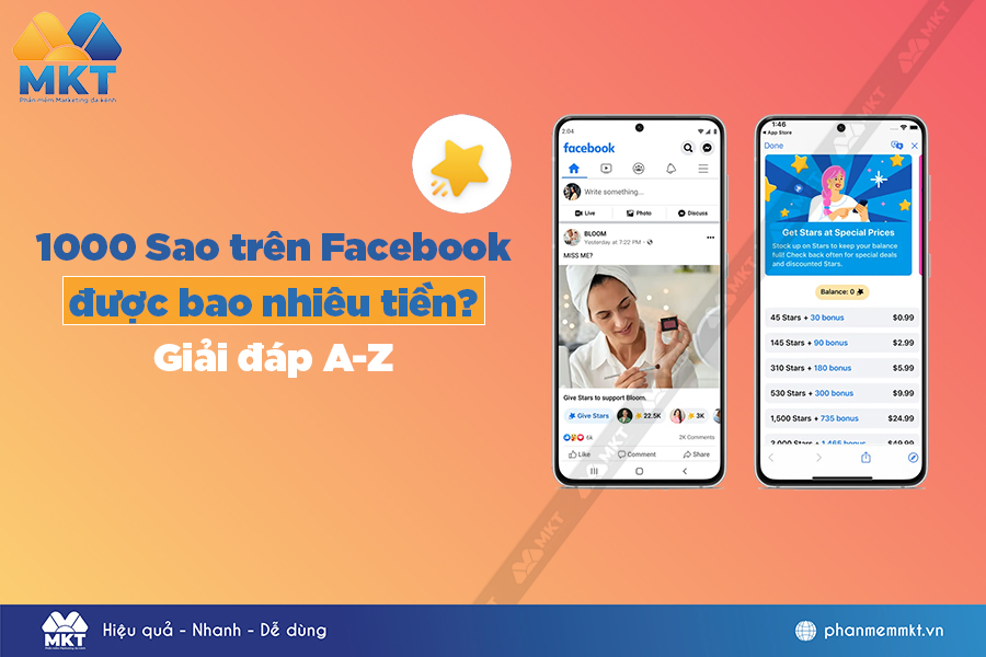 1000 Sao Facebook được Bao Nhiêu Tiền