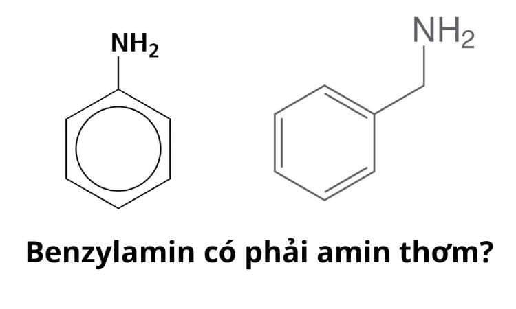 Amin Thơm Là Gì