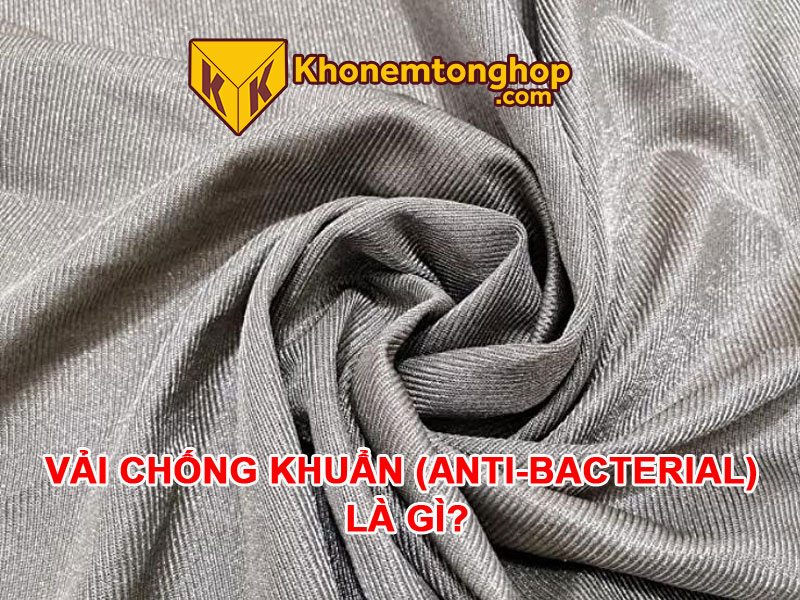 Anti Bacterial Là Gì