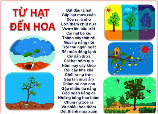 Bài Thơ Từ Hạt đến Hoa