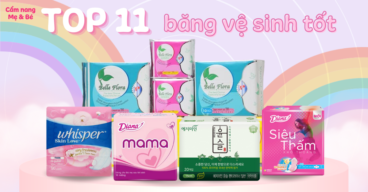 Các Loại Bvs
