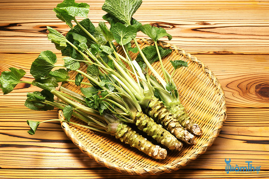 Cây Cải Ngựa