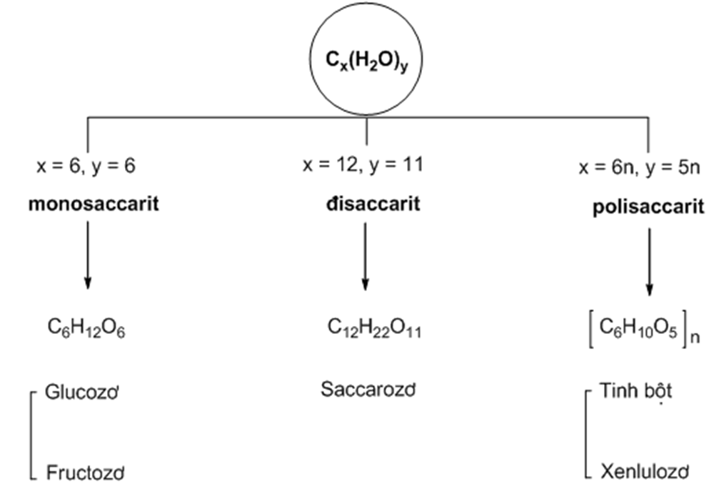 Chất Thuộc Loại đường đisaccarit Là