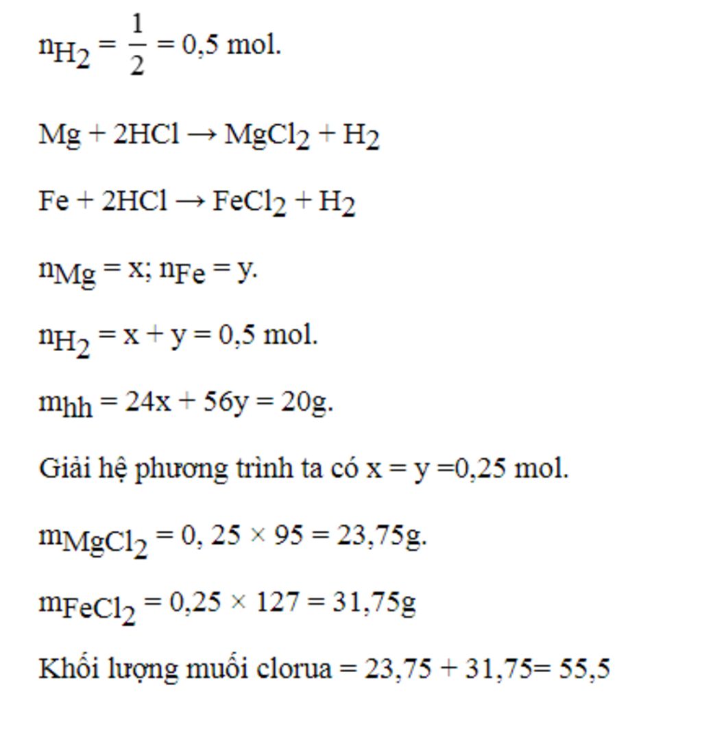Cho 20g Hỗn Hợp Bột Mg Và Fe
