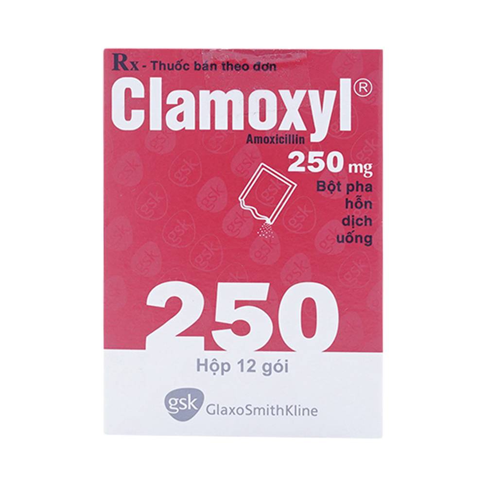 Clamoxyl 250 Là Thuốc Gì
