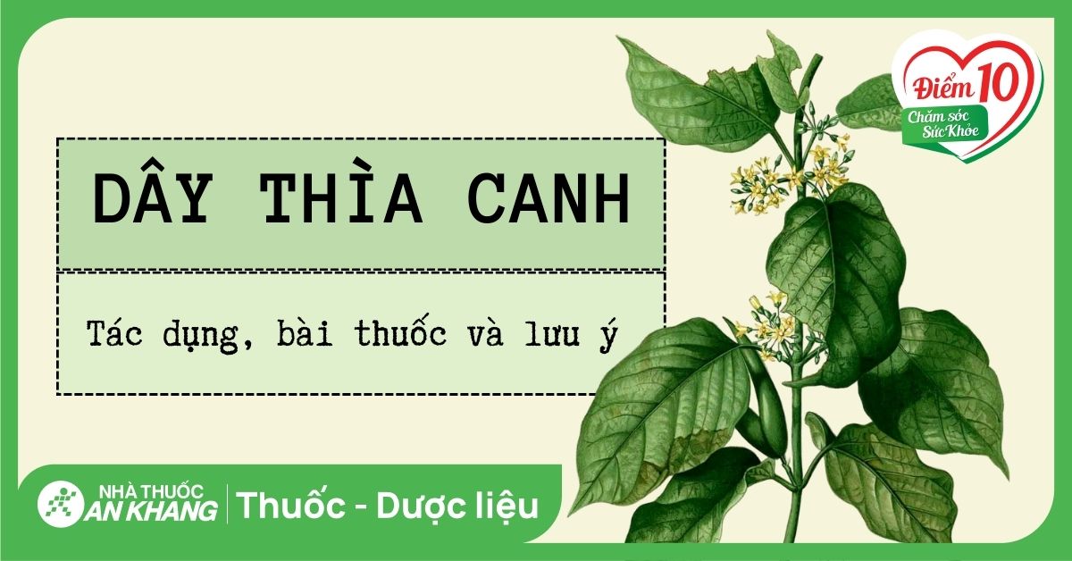 Công Dụng Của Dây Thìa Canh