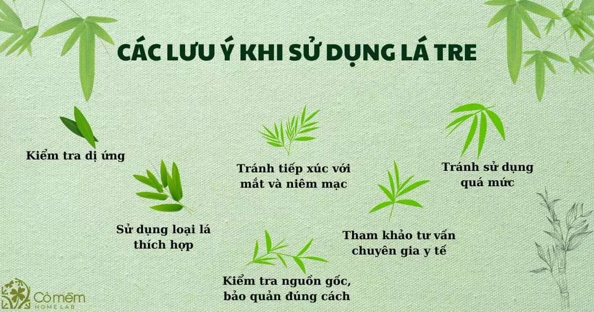 Công Dụng Của Lá Tre