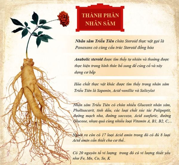 Công Dụng Nhân Sâm