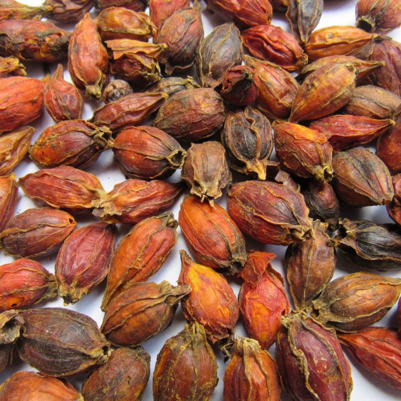 Dành Là Gì