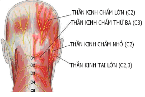 đau Dây Thần Kinh đầu