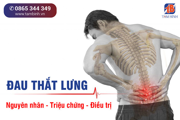 đau Thắt Lưng Sau
