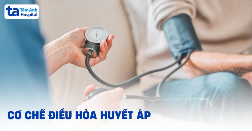 điều Hòa Huyết áp