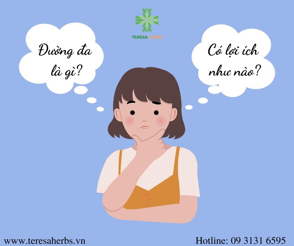 đường đa Là Gì