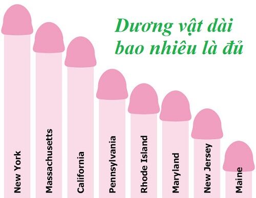 Dương Vật 15cm