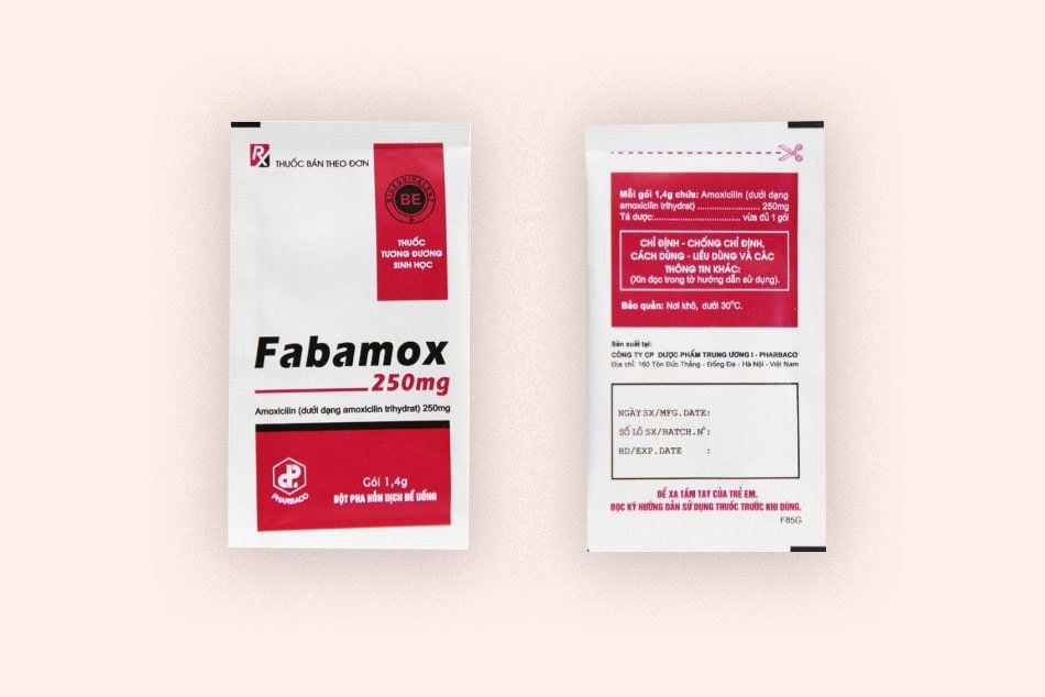 Fabamox 250mg Là Thuốc Gì