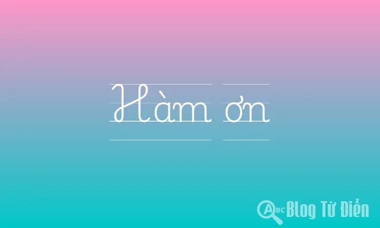 Hàm ơn Là Gì