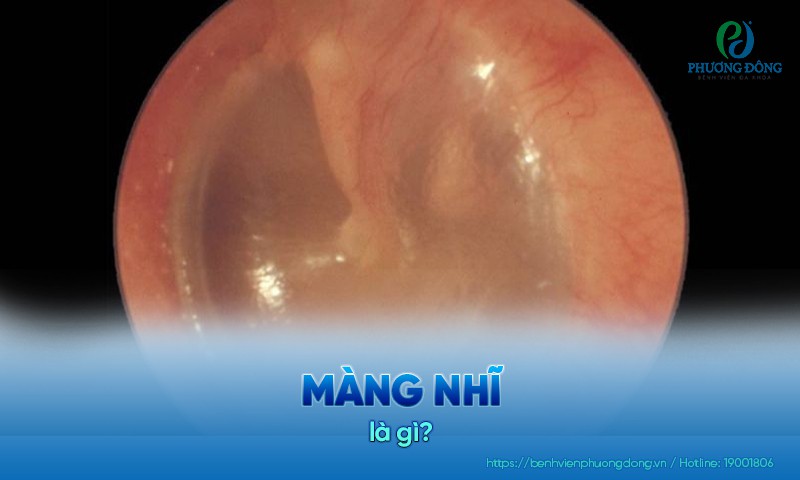 Hình ảnh Màng Nhĩ