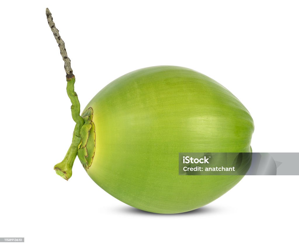 Hình Quả Dừa