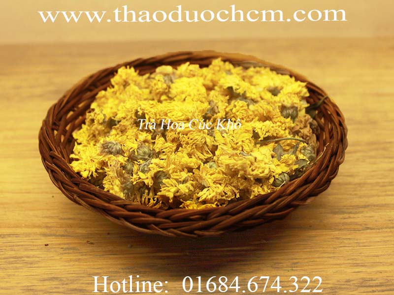 Hoa Cúc Khô Mua ở Tiệm Thuốc Bắc