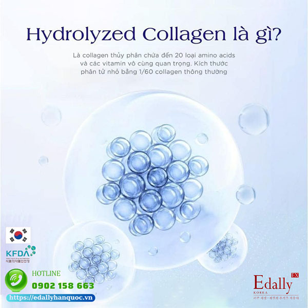 Hydrolyzed Collagen Là Gì