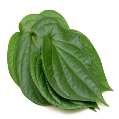 Lá Trầu Không Mua ở đâu