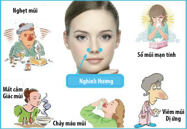 Làm Gì để Hết Sổ Mũi