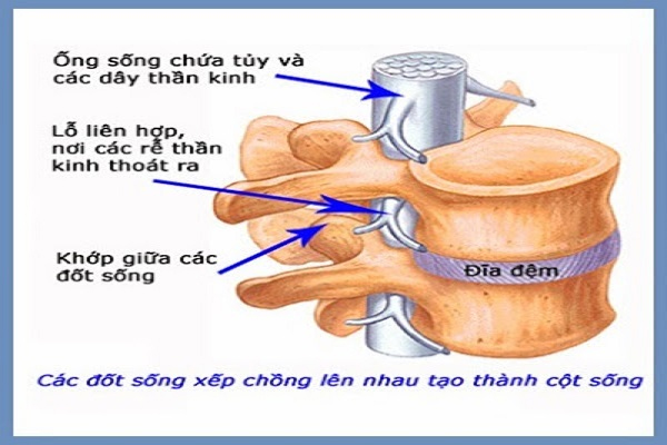 Lỗ Liên Hợp