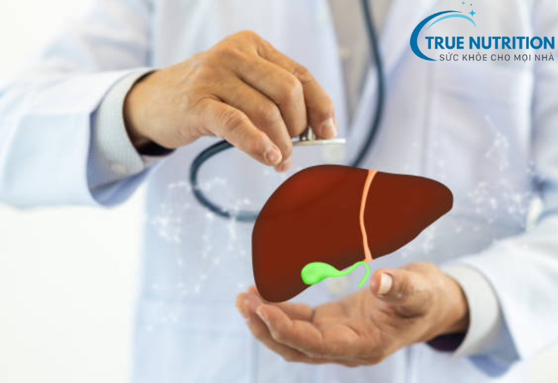 Lysin Là Thuốc Bổ Gan