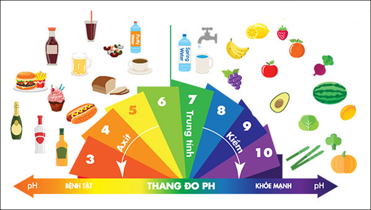 Môi Trường Kiềm Là Gì